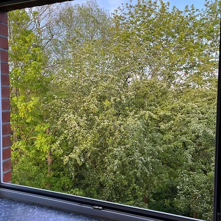 Charmante Stadtwohnung Mit Blick Ins Gruene * Любек